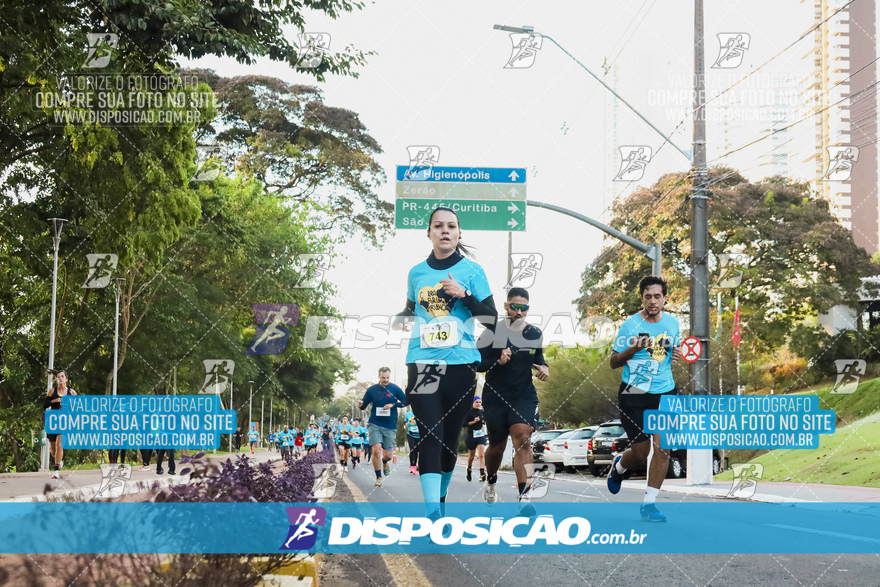 2ª (AMP) Run 