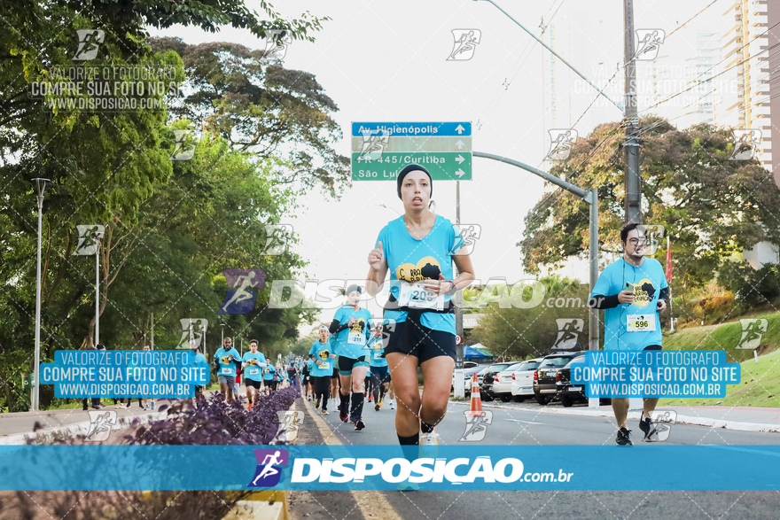 2ª (AMP) Run 