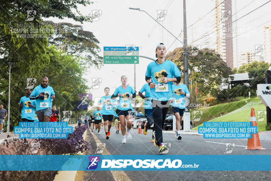 2ª (AMP) Run 