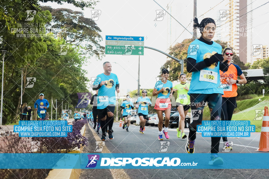 2ª (AMP) Run 