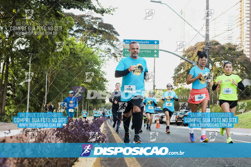 2ª (AMP) Run 