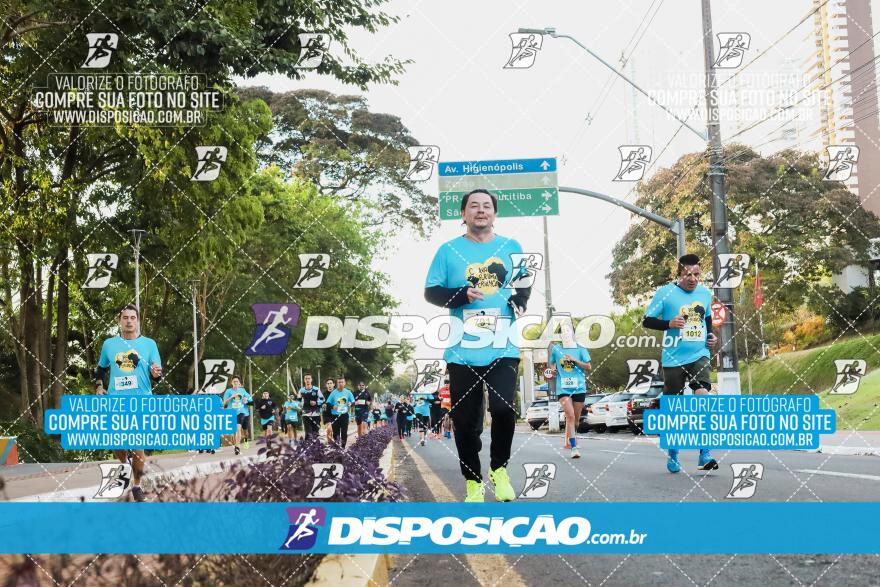 2ª (AMP) Run 