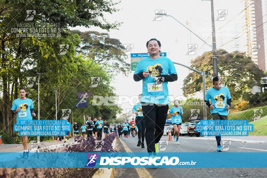 2ª (AMP) Run 