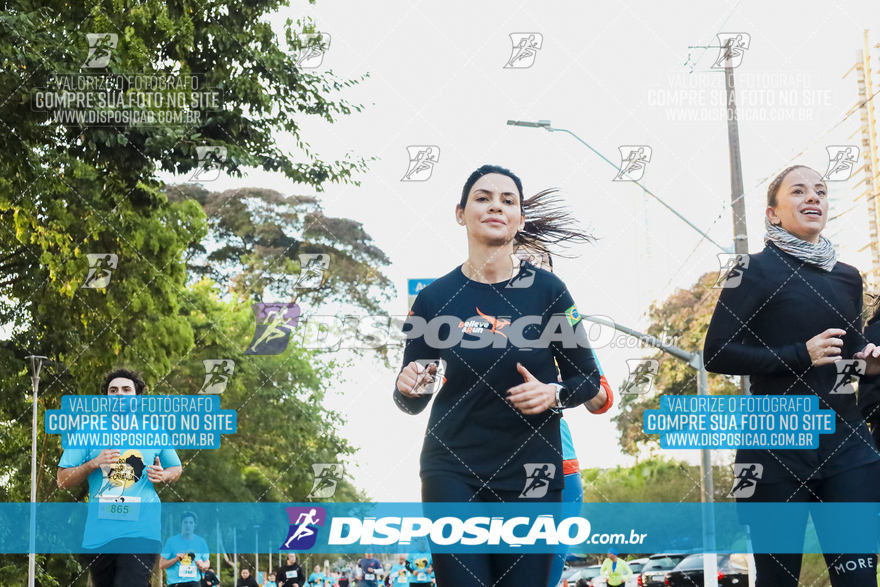 2ª (AMP) Run 