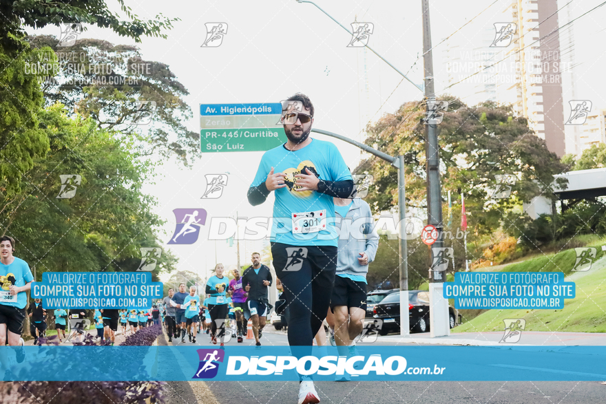 2ª (AMP) Run 