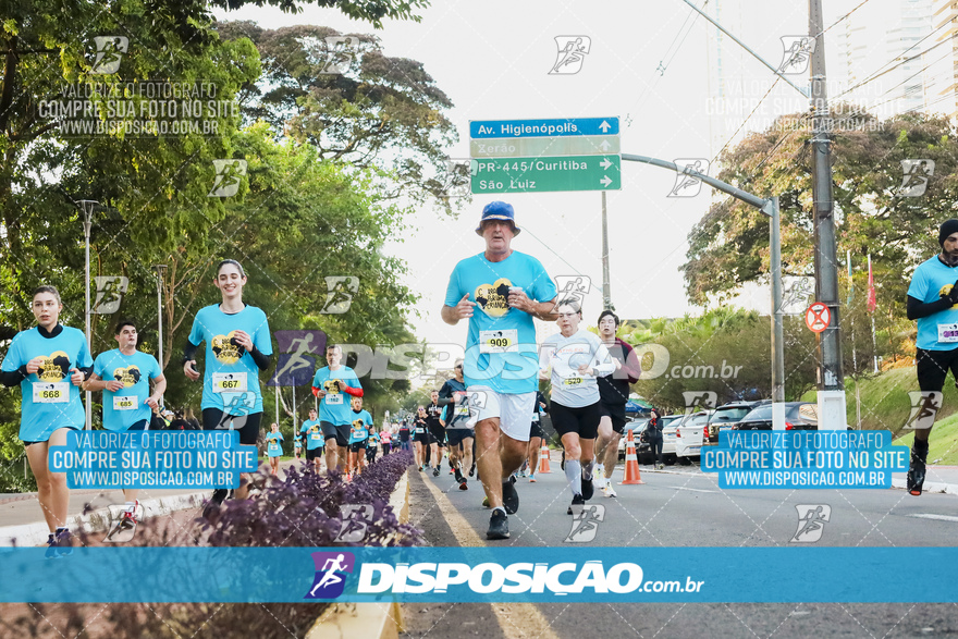 2ª (AMP) Run 