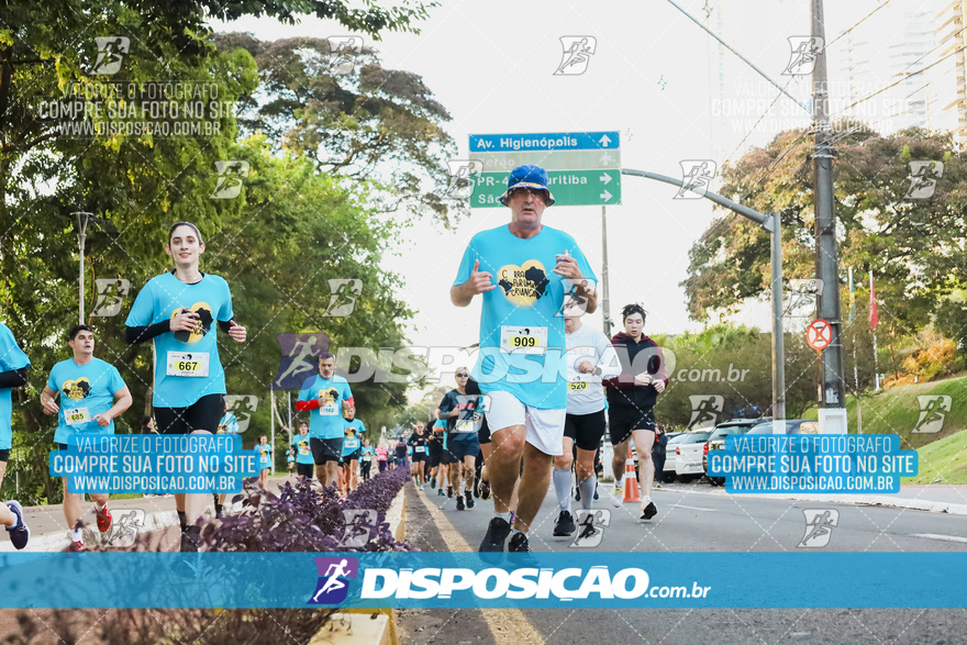 2ª (AMP) Run 