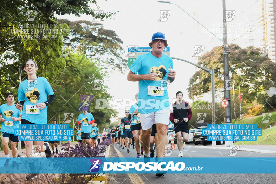 2ª (AMP) Run 