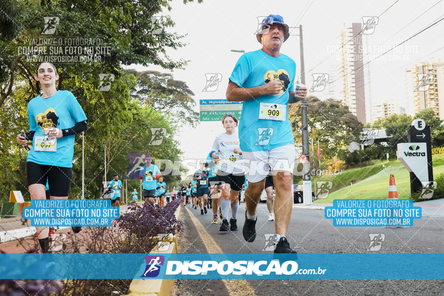 2ª (AMP) Run 