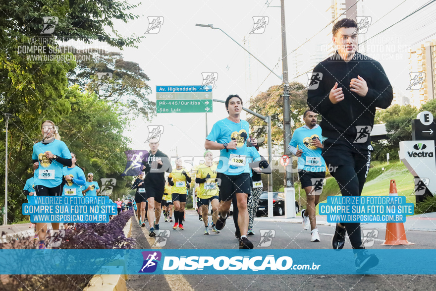 2ª (AMP) Run 