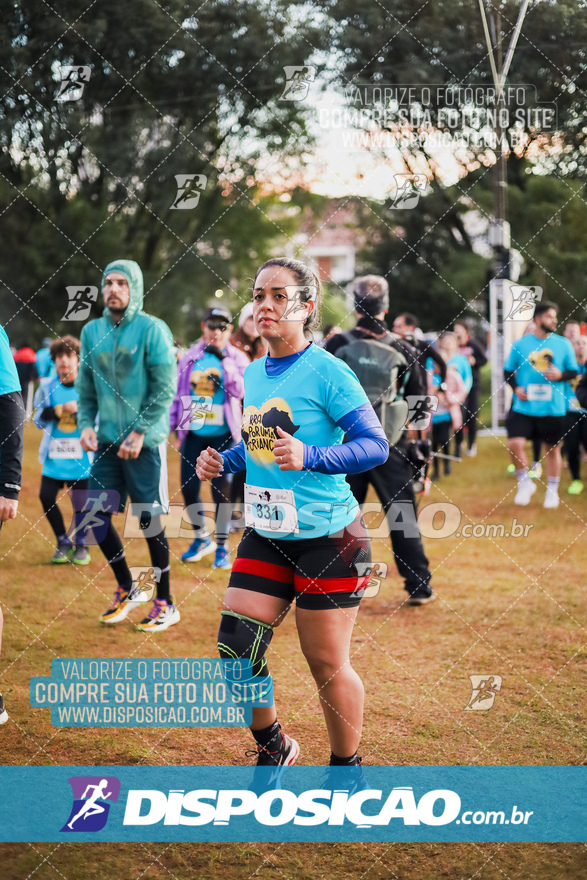 2ª (AMP) Run 