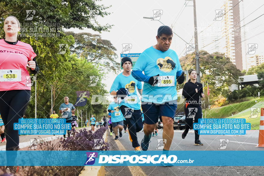 2ª (AMP) Run 