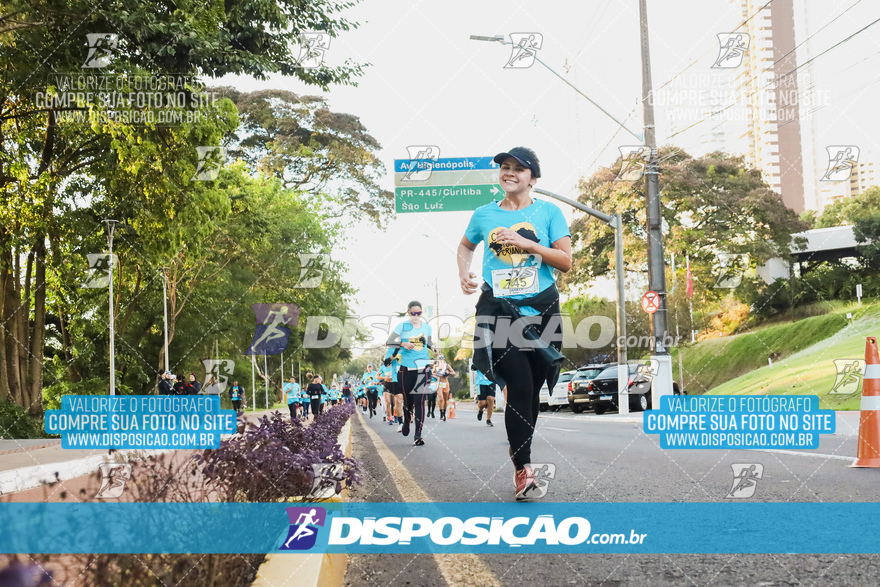 2ª (AMP) Run 