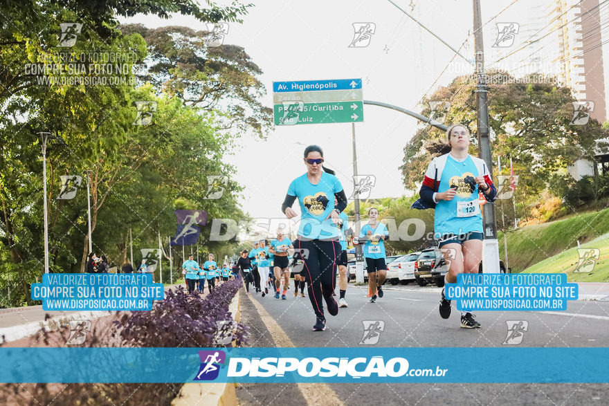 2ª (AMP) Run 