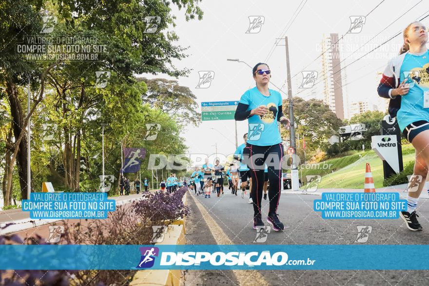 2ª (AMP) Run 