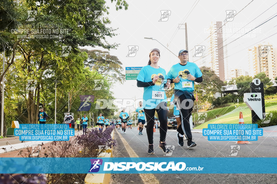 2ª (AMP) Run 