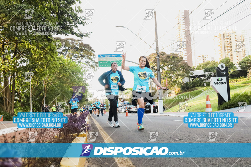 2ª (AMP) Run 