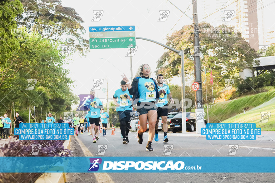 2ª (AMP) Run 