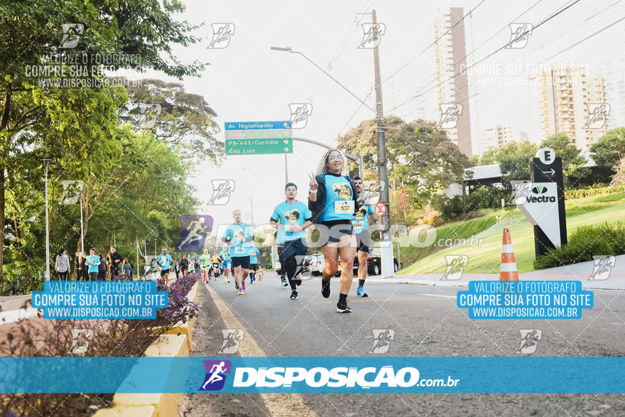 2ª (AMP) Run 