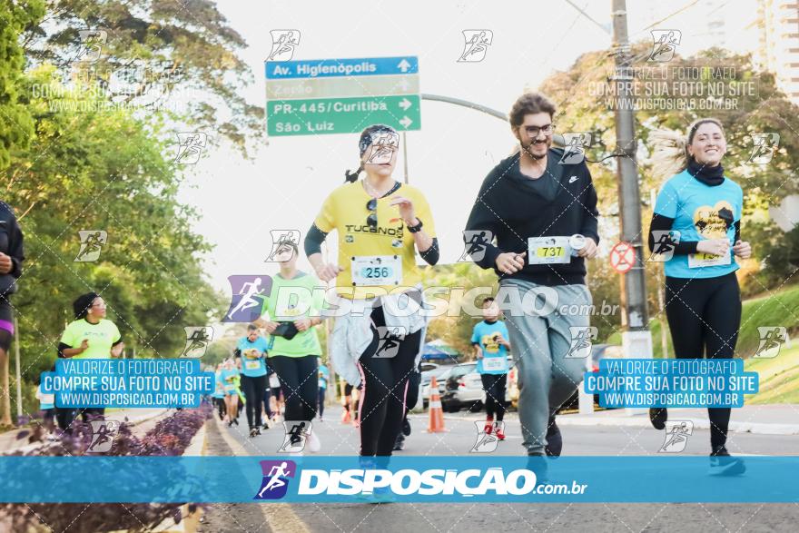 2ª (AMP) Run 