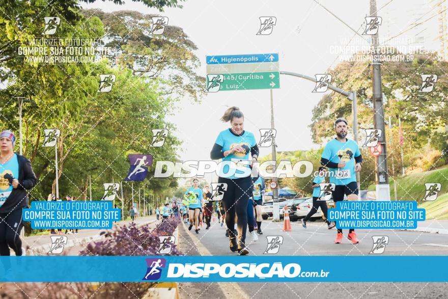 2ª (AMP) Run 