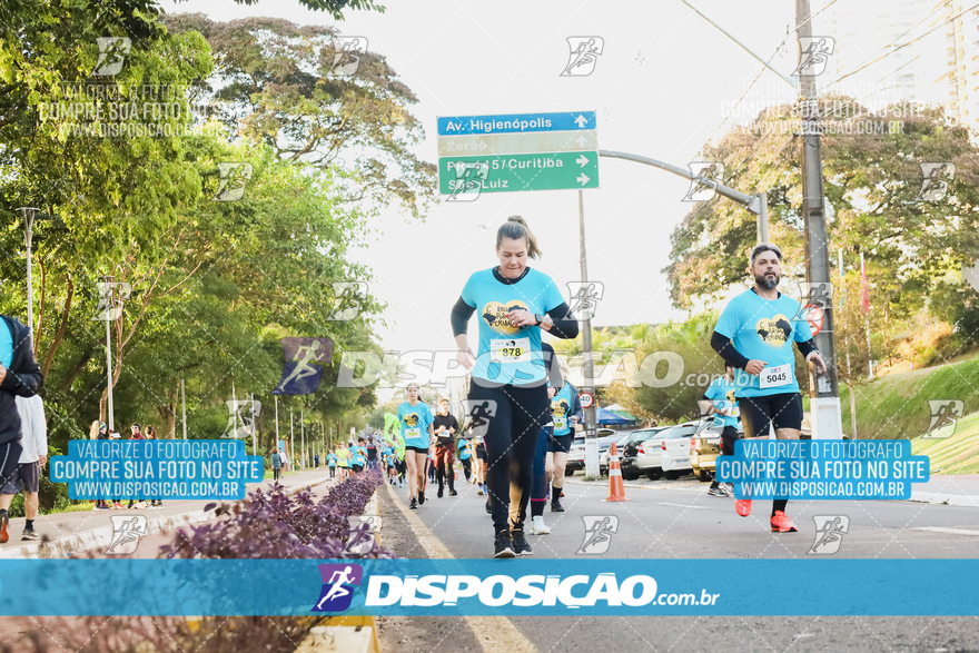 2ª (AMP) Run 