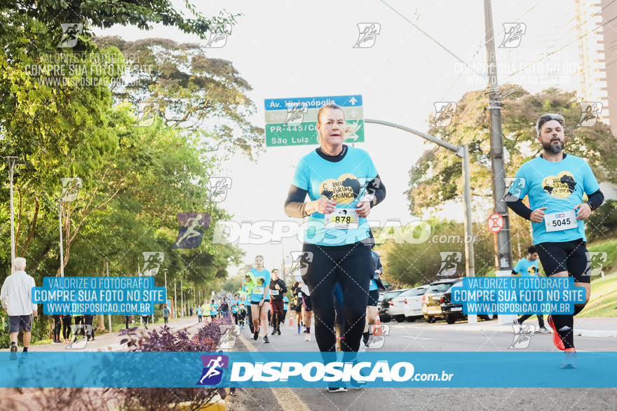 2ª (AMP) Run 