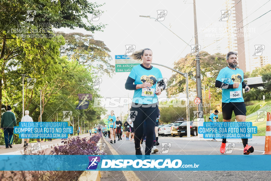 2ª (AMP) Run 