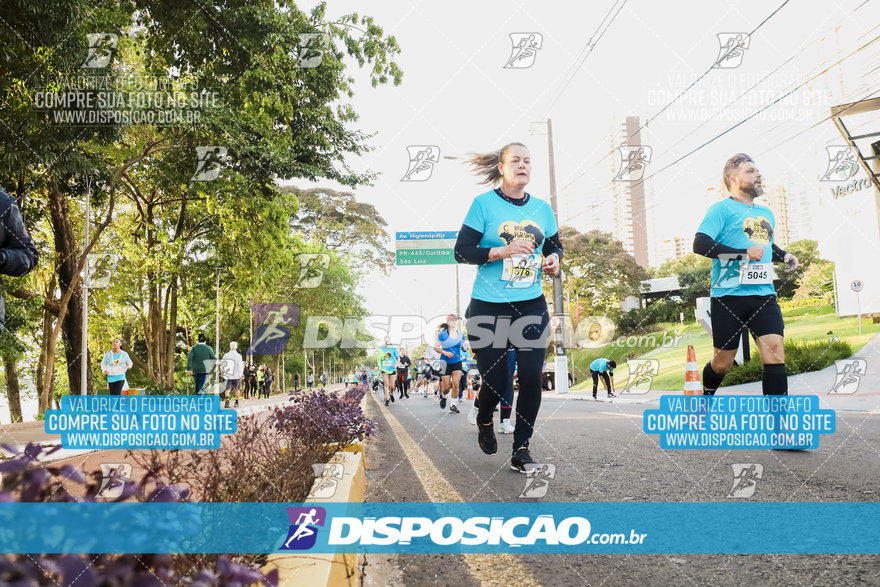 2ª (AMP) Run 