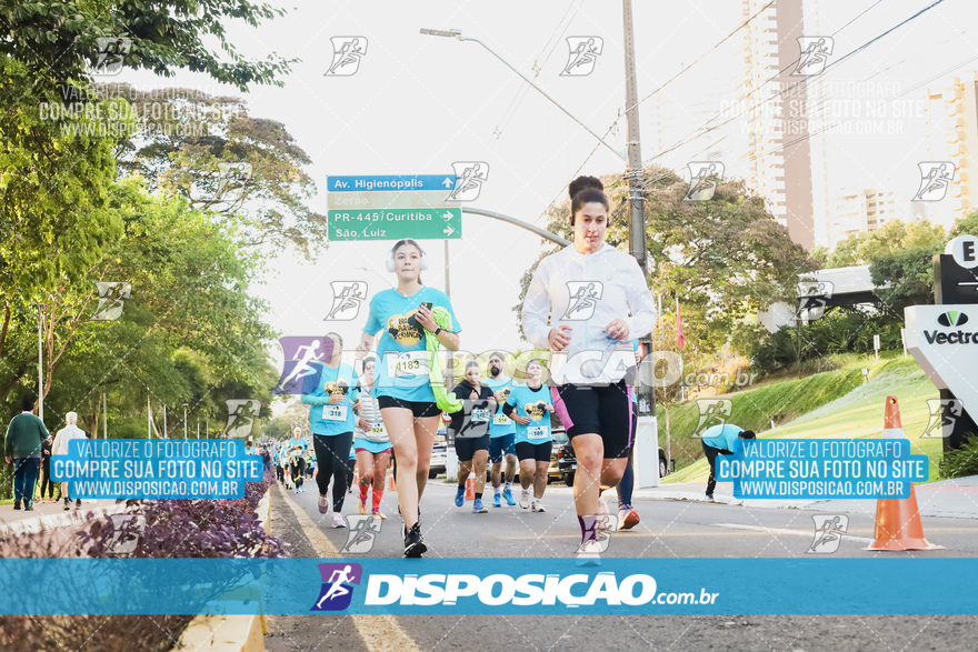 2ª (AMP) Run 