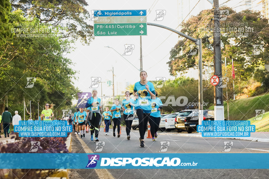 2ª (AMP) Run 