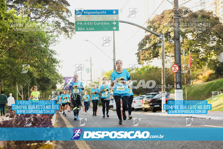 2ª (AMP) Run 