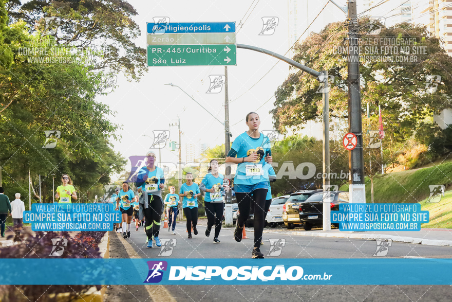 2ª (AMP) Run 