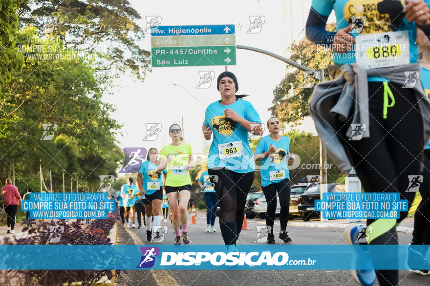 2ª (AMP) Run 