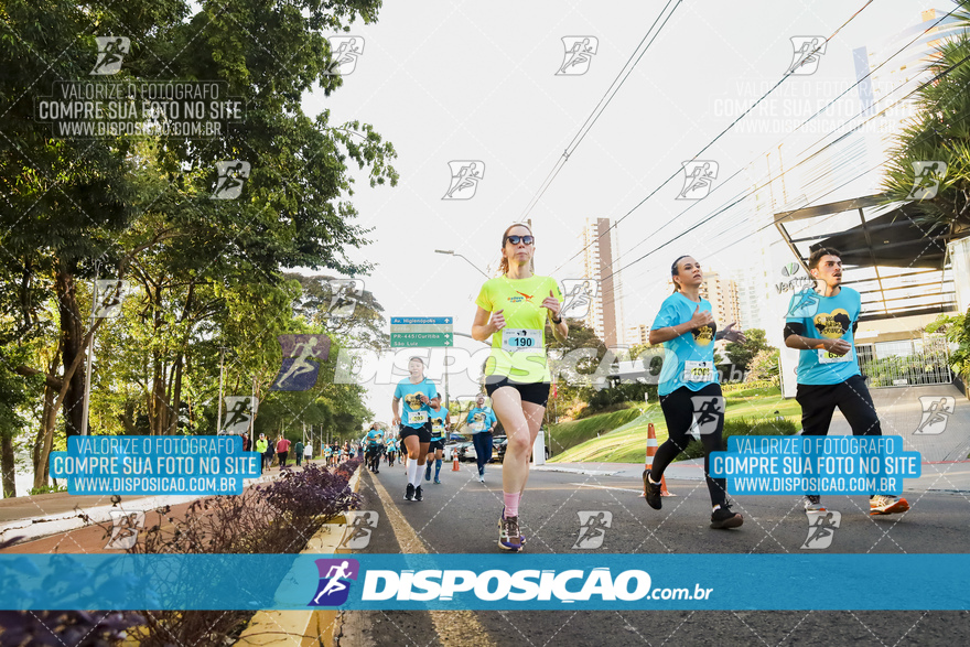 2ª (AMP) Run 