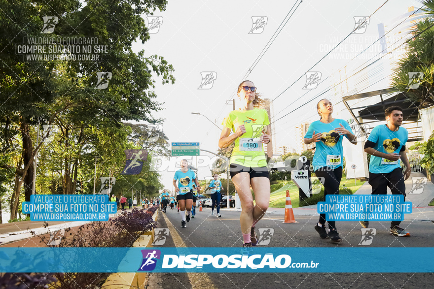 2ª (AMP) Run 