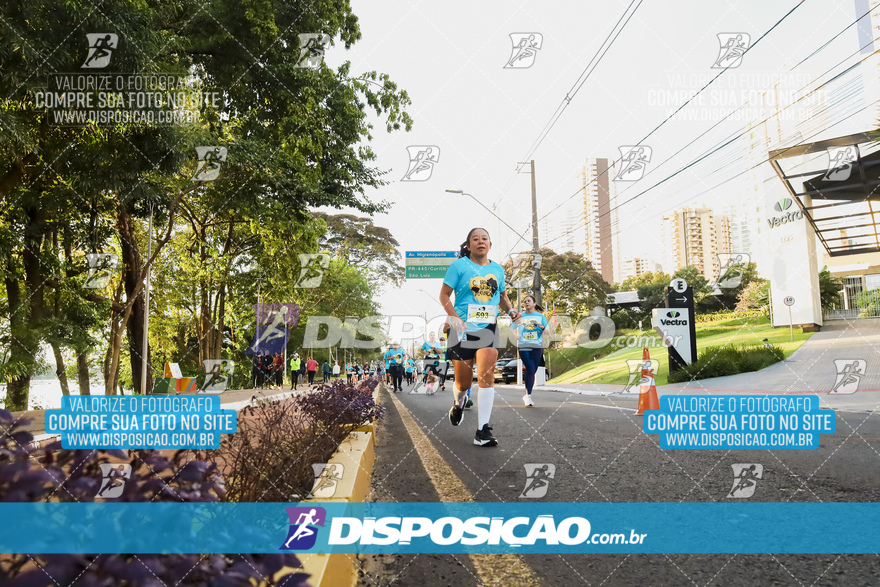 2ª (AMP) Run 