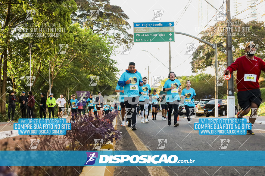 2ª (AMP) Run 