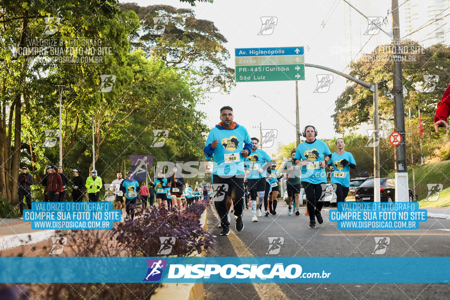 2ª (AMP) Run 