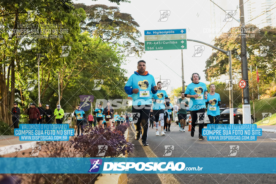 2ª (AMP) Run 