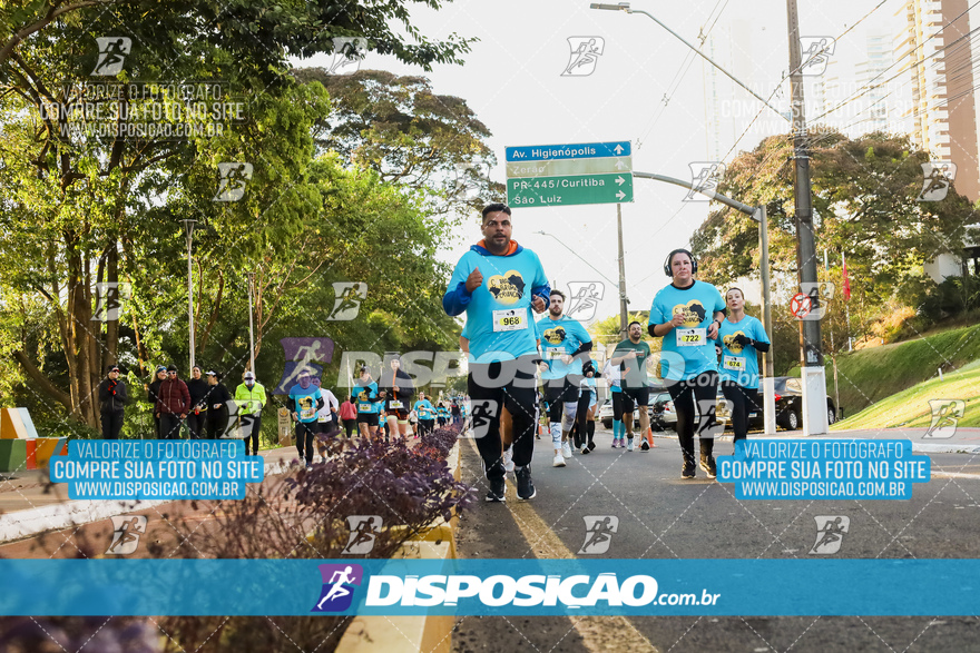 2ª (AMP) Run 