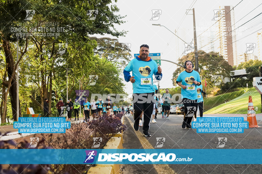 2ª (AMP) Run 