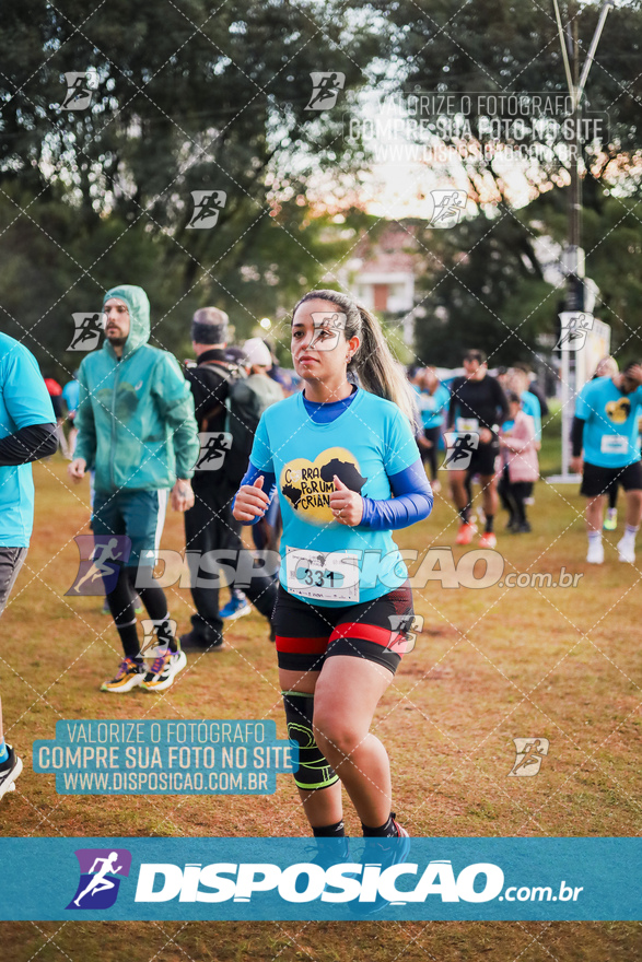 2ª (AMP) Run 