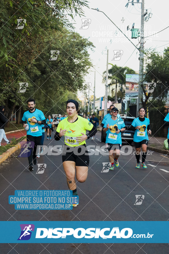 2ª (AMP) Run 