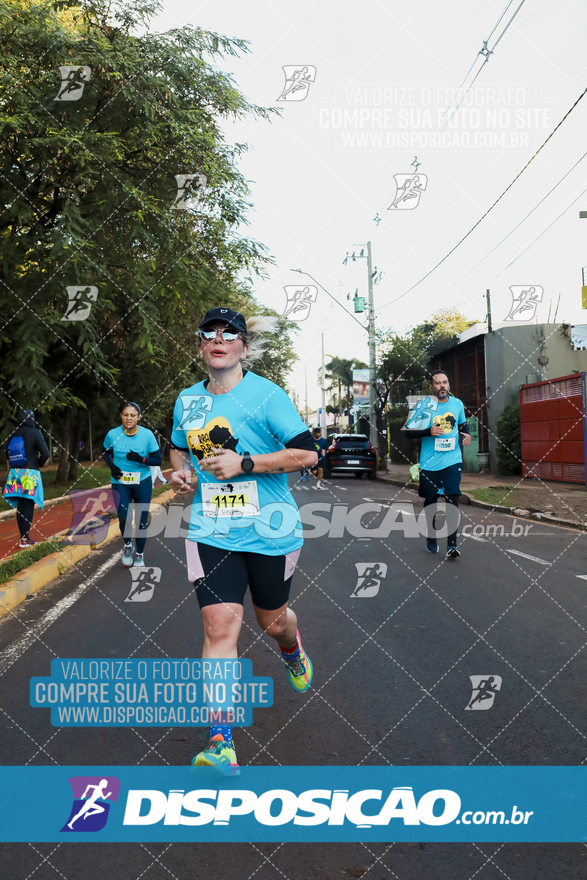 2ª (AMP) Run 