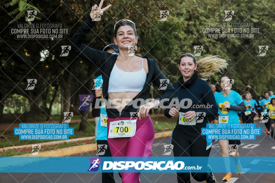 2ª (AMP) Run 