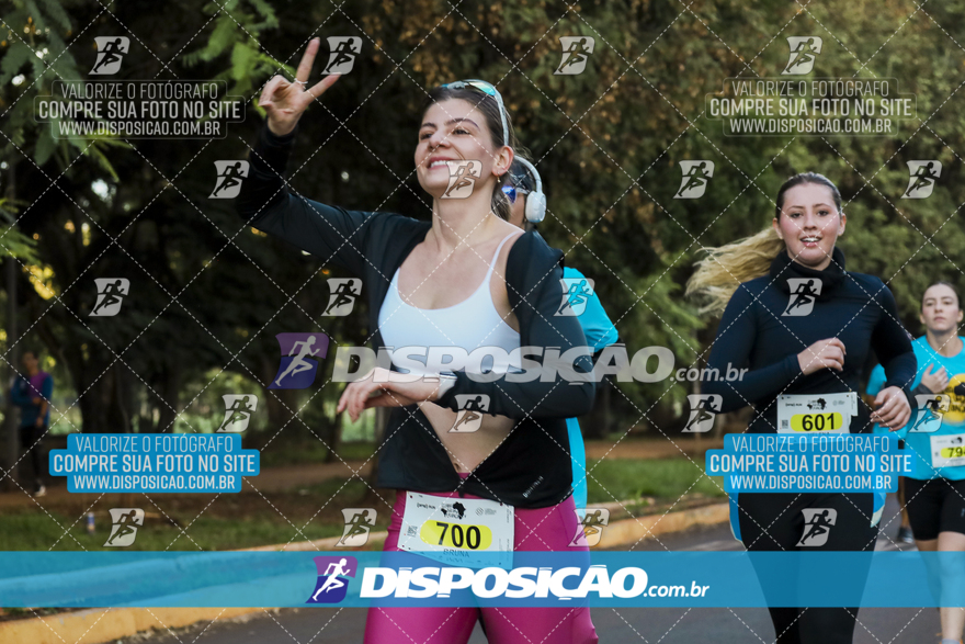 2ª (AMP) Run 