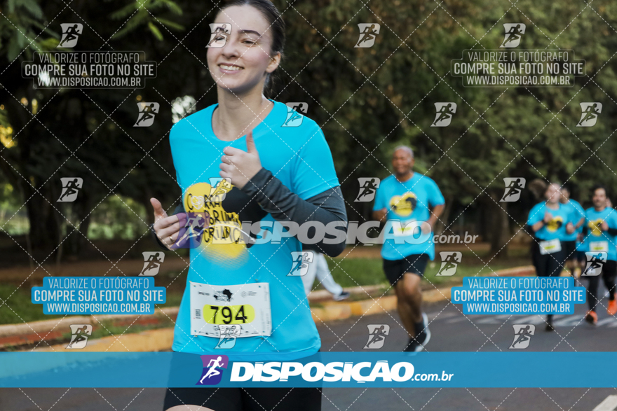 2ª (AMP) Run 