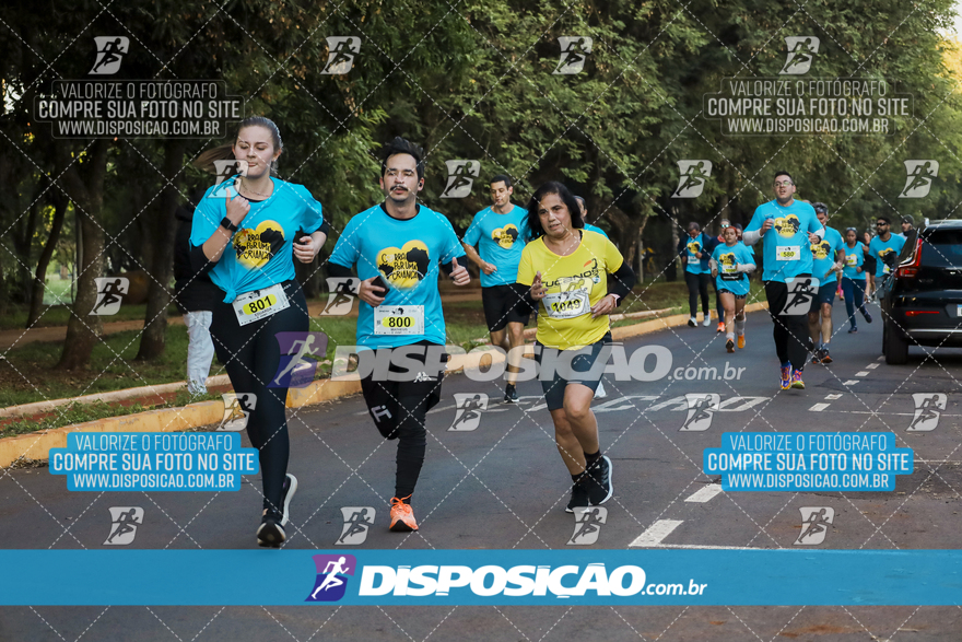 2ª (AMP) Run 