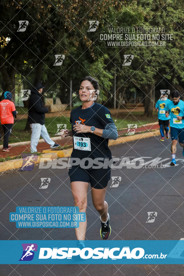 2ª (AMP) Run 